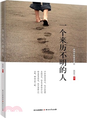 一個來歷不明的人（簡體書）