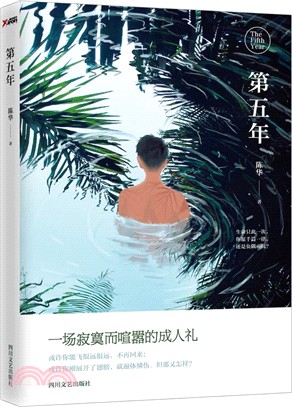 第五年（簡體書）