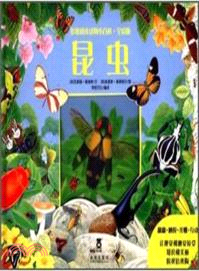 昆蟲：多維閱讀動物小百科(全彩版)（簡體書）