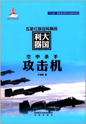 空中殺手：攻擊機（簡體書）