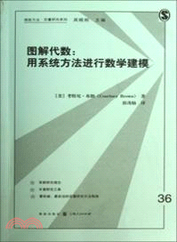 圖解代數：用系統方法進行數學建模（簡體書）