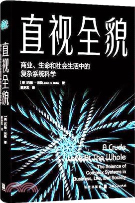 直視全貌：商業、生命和社會生活中的複雜系統科學（簡體書）