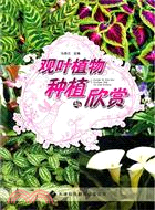 觀葉植物種植與欣賞（簡體書）