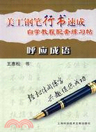 美工鋼筆行書速成呼應成語（簡體書）