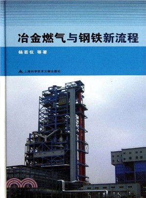 冶金燃氣與鋼鐵新流程（簡體書）