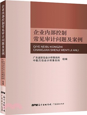 企業內部控制常見審計問題及案例（簡體書）