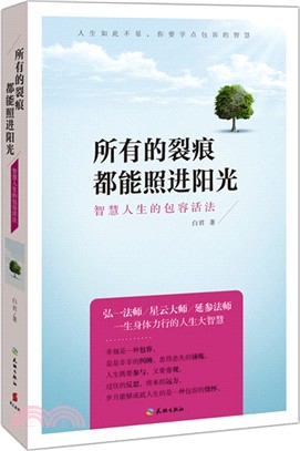 所有的裂痕，都能照進陽光（簡體書）