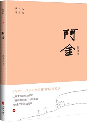 阿金（簡體書）