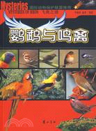 飛禽之謎：鸚鵡與鳴禽（簡體書）