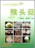 食用菌生產流程圖譜：猴頭菇（簡體書）