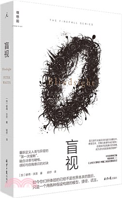 盲視（簡體書）