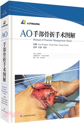 AO手部骨折手術圖解（簡體書）