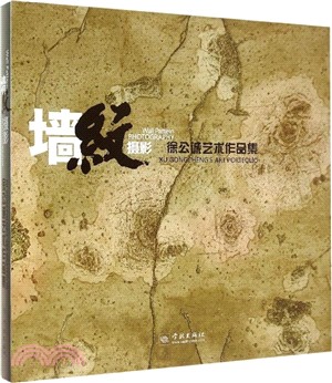 牆紋攝影：徐公誠藝術作品集（簡體書）