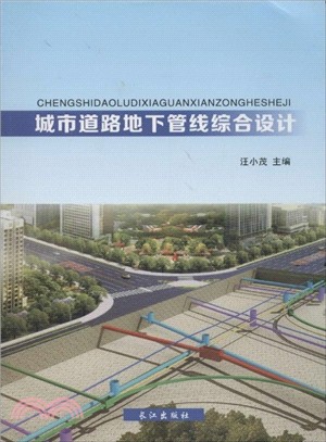 城市道路地下管線綜合設計（簡體書）