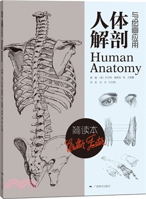 簡讀本：人體解剖與繪畫應用（簡體書）