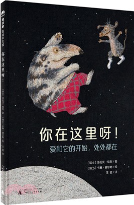 魔法象圖畫書王國(第四輯)：你在這裡呀!（簡體書）