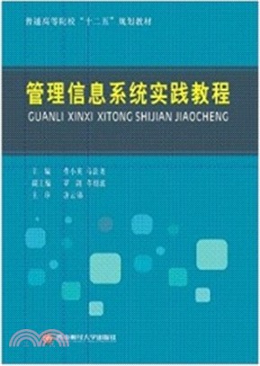 執行信息系統實踐教程（簡體書）