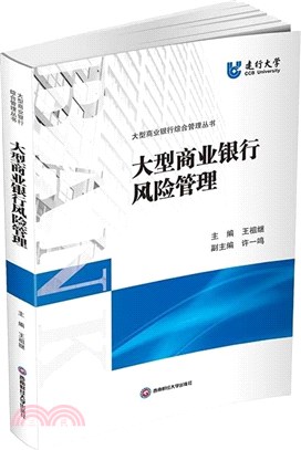 大型商業銀行風險管理（簡體書）