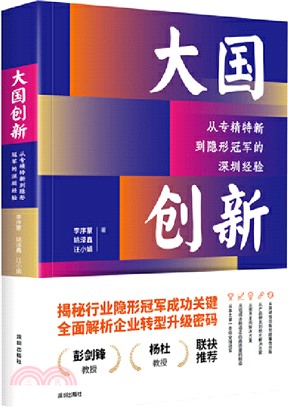 大國創新：從專精特新到隱形冠軍的深圳經驗（簡體書）