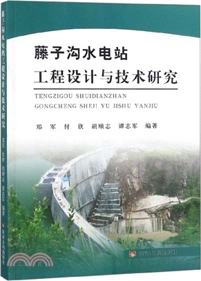 藤子溝水電站工程設計與技術研究（簡體書）