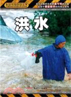 洪水（簡體書）