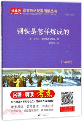 鋼鐵是怎樣煉成的（簡體書）