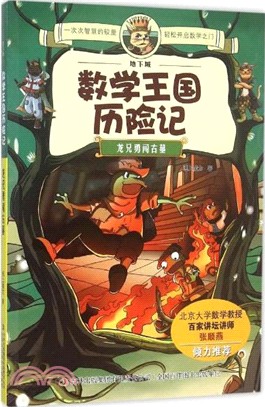 數學王國歷險記：龍兄勇闖古墓（簡體書）