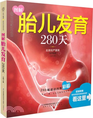 圖解胎兒發育280天（簡體書）