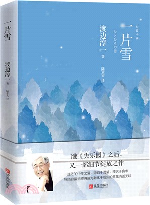 一片雪（簡體書）