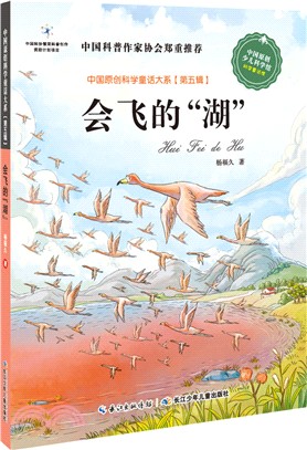 會飛的“湖”（簡體書）