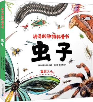 神奇的動物科普書：蟲子（簡體書）