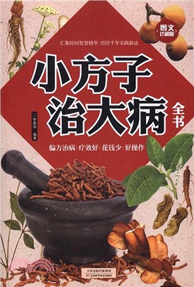 小方子治大病（簡體書）