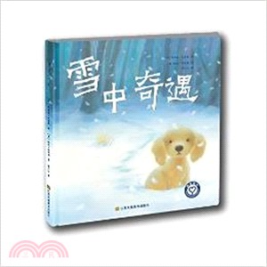 雪中奇遇（簡體書）