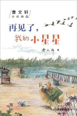 曹文軒小說精品：再見了，我的小星星（簡體書）