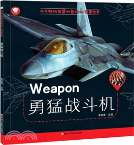 小牛頓的軍事世界：勇猛戰鬥機（簡體書）