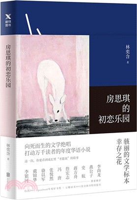 房思琪的初戀樂園（簡體書）