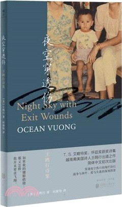 夜空穿透傷：王鷗行詩集（簡體書）