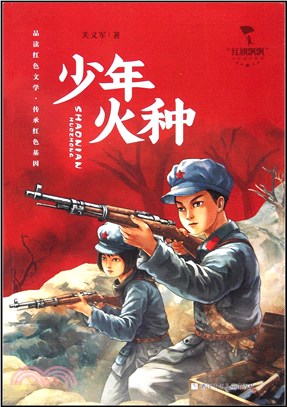 少年火種（簡體書）