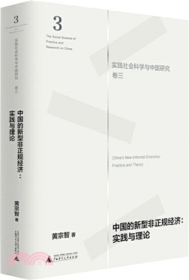 中國的新型非正規經濟：實踐與理論（簡體書）