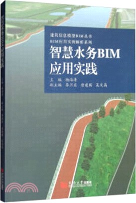 智慧水務BIM應用實踐（簡體書）