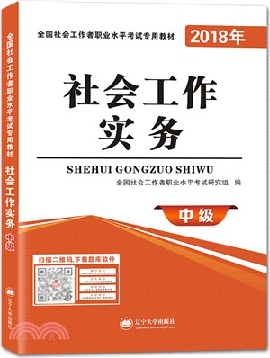 社會工作實務(中級)（簡體書）