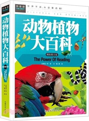 中國建築文化遺產20：中國古代建築學體系之復興（簡體書）