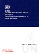 聯合國打擊跨國有組織犯罪公約月反腐敗公約程序問題研究（簡體書）