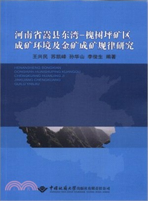 河南省嵩縣東灣：槐樹坪礦區成礦環境及金礦成礦規律研究（簡體書）