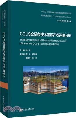 CCUS全鏈條技術知識產權評估分析（簡體書）