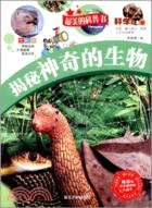 揭秘神奇的生物（簡體書）