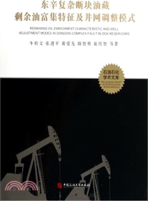 東辛複雜斷塊油藏剩餘油富集特徵及井網調整模式（簡體書）