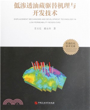 低滲透油藏驅替機理與開發技術（簡體書）