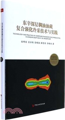 東辛深層稠油油藏複合強化冷采技術與實踐（簡體書）