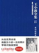 愛你就像愛生命王小波全集第九卷（簡體書）